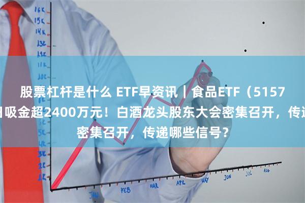 股票杠杆是什么 ETF早资讯｜食品ETF（515710）近10日吸金超2400万元！白酒龙头股东大会密集召开，传递哪些信号？