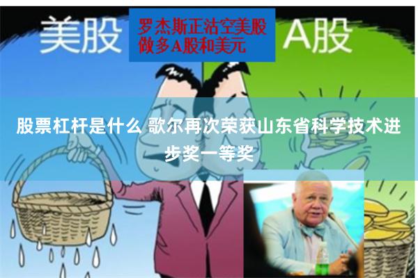 股票杠杆是什么 歌尔再次荣获山东省科学技术进步奖一等奖