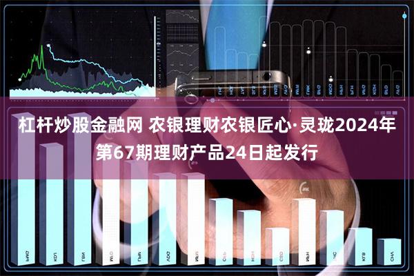 杠杆炒股金融网 农银理财农银匠心·灵珑2024年第67期理财产品24日起发行