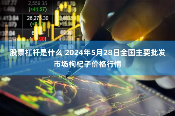 股票杠杆是什么 2024年5月28日全国主要批发市场枸杞