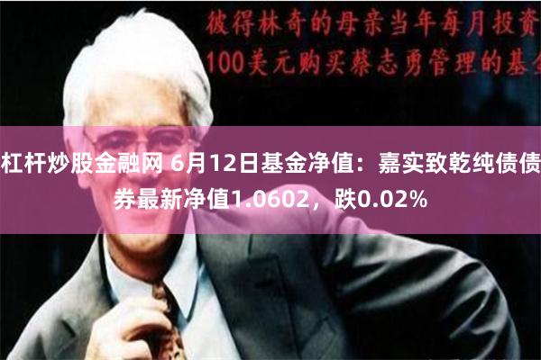 杠杆炒股金融网 6月12日基金净值：嘉实致乾纯债债券最新净值1.0602，跌0.02%