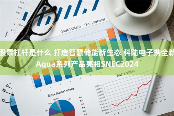 股票杠杆是什么 打造智慧储能新生态 科陆电子携全新Aqua系列产品亮相SNEC2024