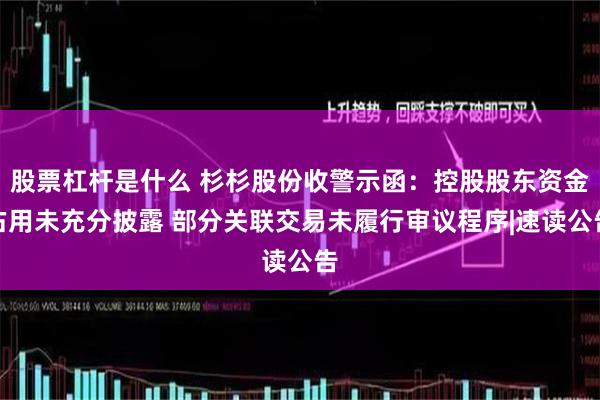 股票杠杆是什么 杉杉股份收警示函：控股股东资金占用未充分