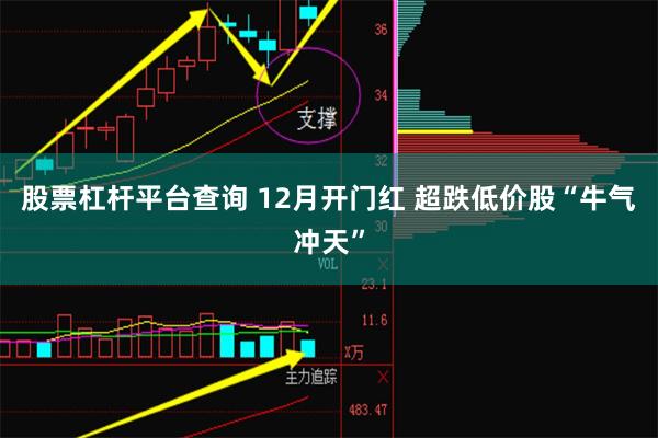 股票杠杆平台查询 12月开门红 超跌低价股“牛气冲天”